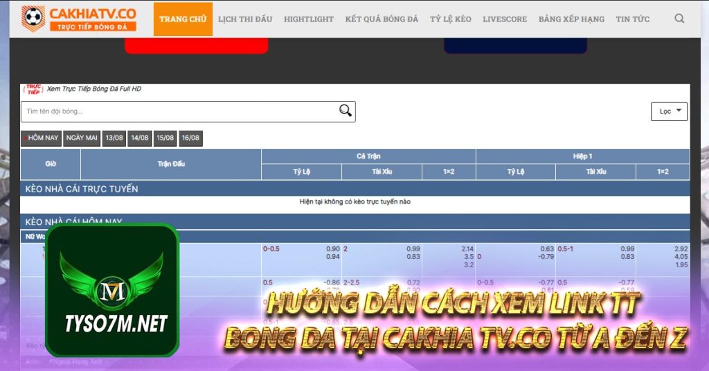 Hướng dẫn cách xem link tt bong da tại Cakhia tv.co từ A đến Z